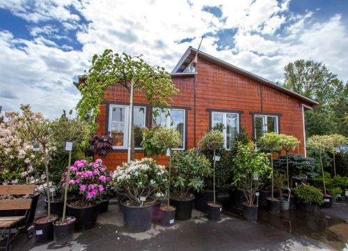 +79153051221 звонок из Зеленый лес