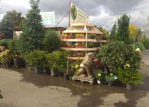 +79153051221 звонок из Зеленый лес