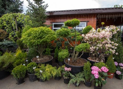 +79153051221 звонок из Зеленый лес