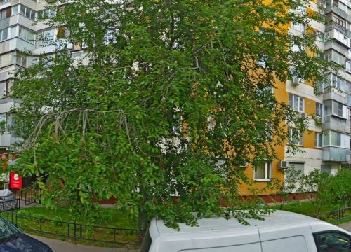 +79153421550 звонок из Планета недвижимости