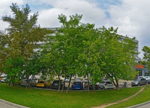 +79153531268 звонок из Оптима