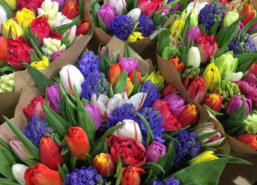 +79153541625 звонок из Flowers Rossa