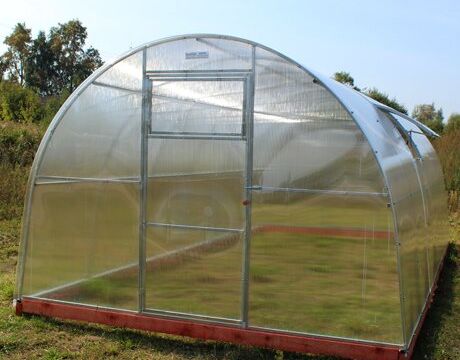 +79154393334 звонок из Теплицы Рекорд