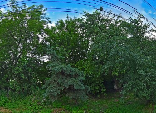 +79155180001 звонок из Дизель Курск