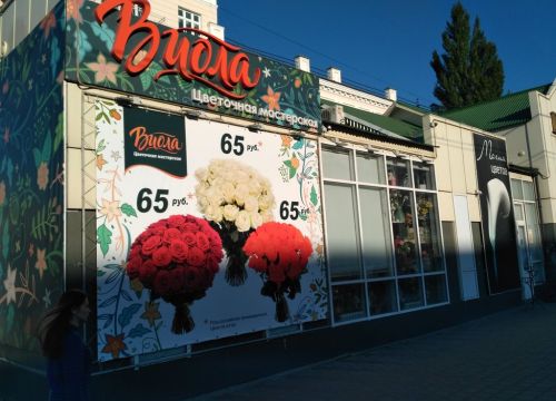 +79158615385 звонок из Виола