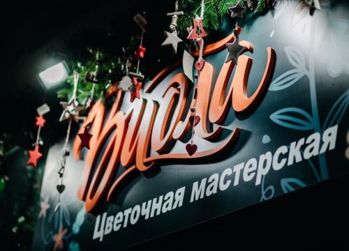 +79158615385 звонок из Виола