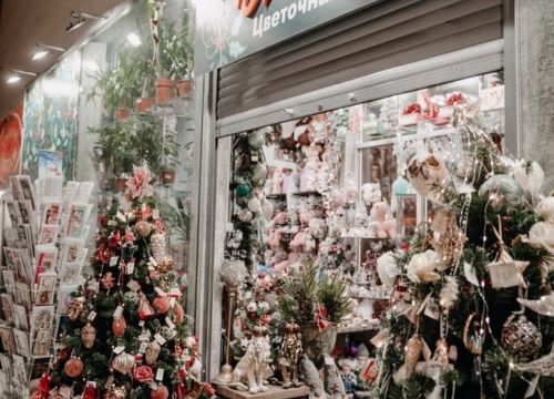 +79158615385 звонок из Виола