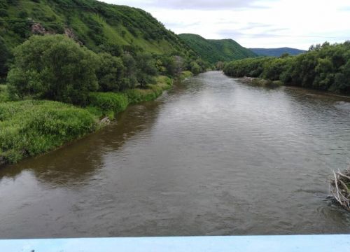 +79159400600 звонок из Дальневосточный мёд