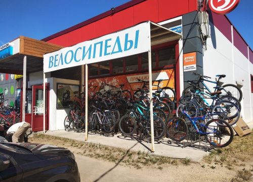 +79159701212 звонок из Профессионал