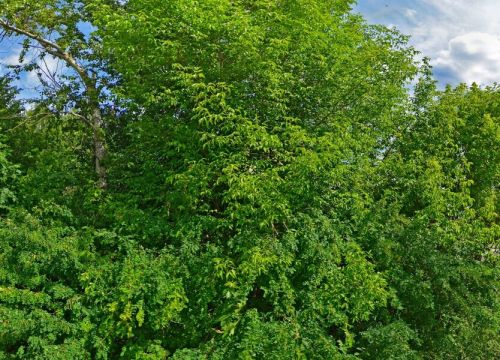 +79160211121 звонок из Peopleandwood