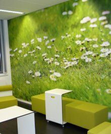 +79160300237 звонок из Нано-принт