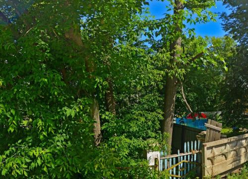 +79160430365 звонок из ГБУЗ МО Щелковская станция переливания крови