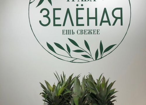 +79160700777 звонок из Трава Зелёная