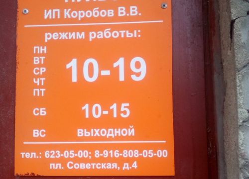 +79161050500 звонок из Пульс