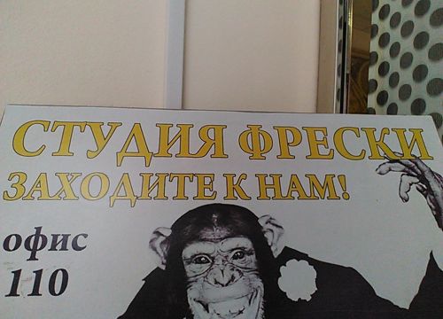 +79161260107 звонок из Студия фрески и сувениров