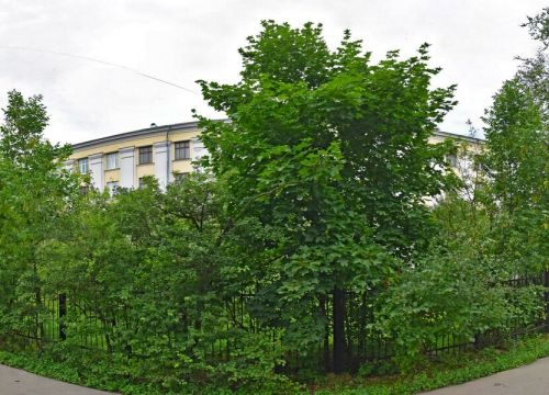 +79163040128 звонок из КинологКлуб.ру