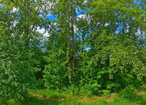 +79163160802 звонок из Sk-treiz.ru