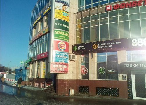 +79164001079 звонок из Мария