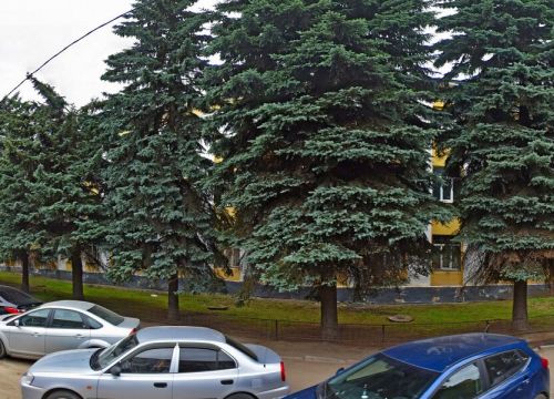 +79164020555 звонок из Богородское такси Пятерки