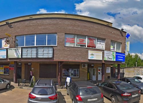 +79164040965 звонок из OsteoLife