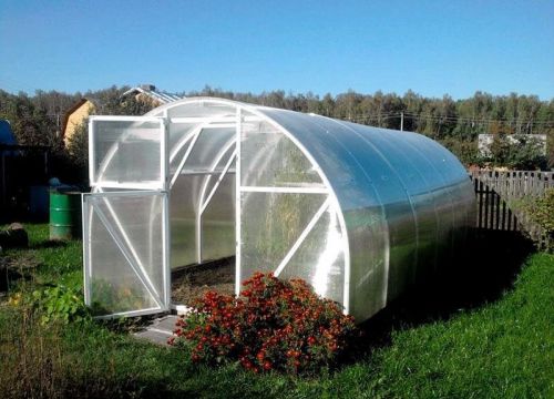 +79164412442 звонок из Александрия