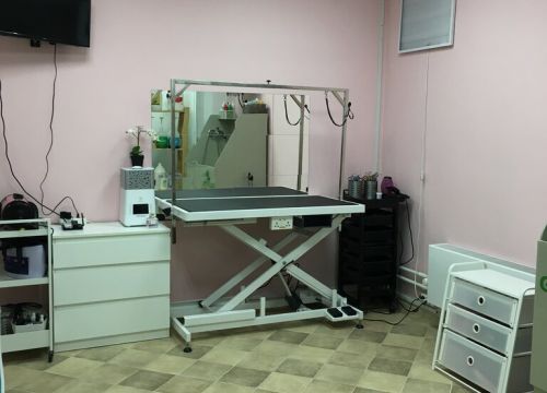 +79164792324 звонок из Зоосалон КотоПёсоф