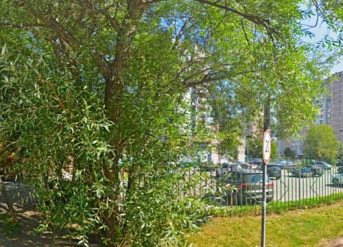 +79165041405 звонок из Фриз-сервис