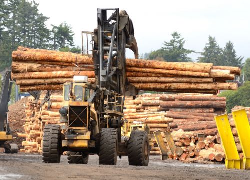 +79165100330 звонок из Лесопилка Феникс