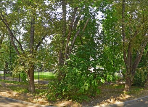 +79165542635 звонок из ПромСтройПлюс