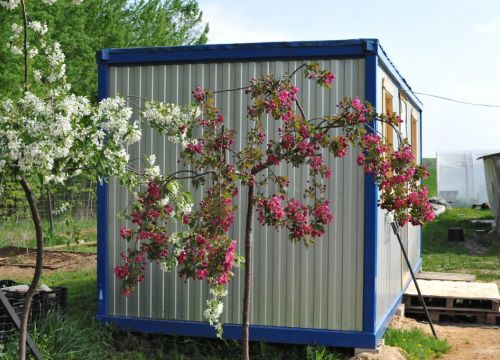 +79165621026 звонок из Вишнёвый сад