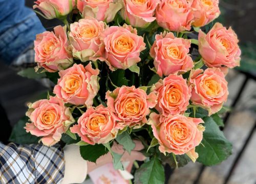 +79165801672 звонок из Цветы Picasso