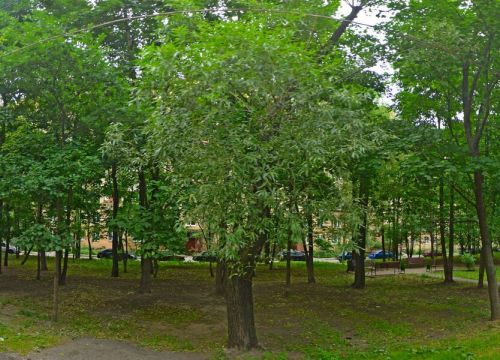 +79166111002 звонок из Ремдеталь