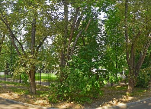 +79166220836 звонок из Foodmix