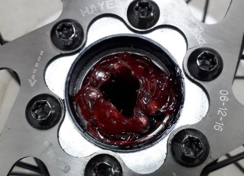 +79166420222 звонок из Velolove