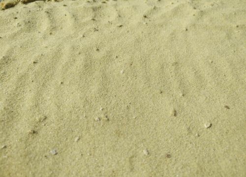 +79166460646 звонок из Вос-песок