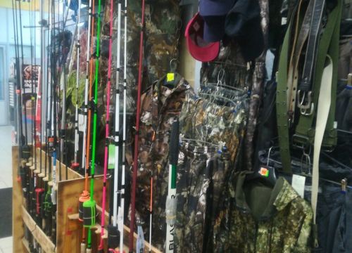 +79166530076 звонок из Фишплюс у Сани