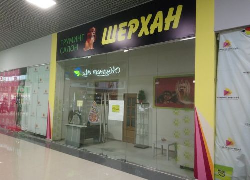 +79166870007 звонок из Груминг салон Шерхан