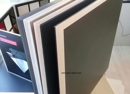 +79166910586 звонок из Пан Распил