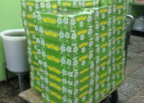 +79167060087 звонок из Лилия