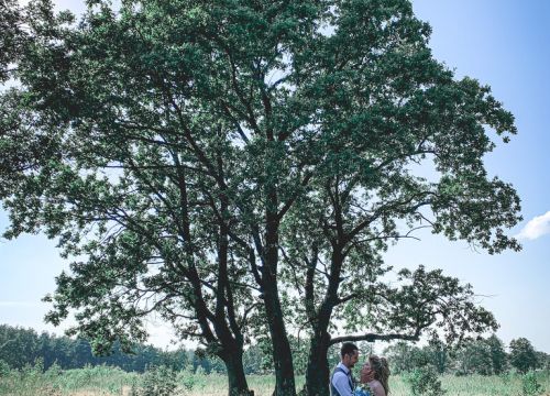 +79167470417 звонок из Sweet-Films Лучшие Свадебные Фильмы