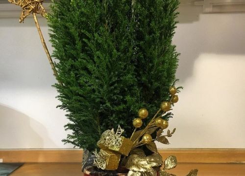 +79168022970 звонок из Cvetbuketa.ru