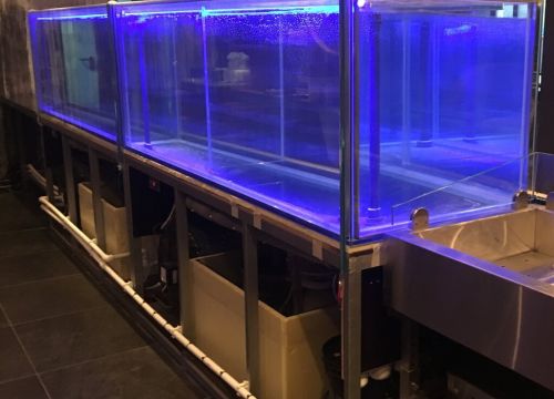 +79168100258 звонок из Аквастекло