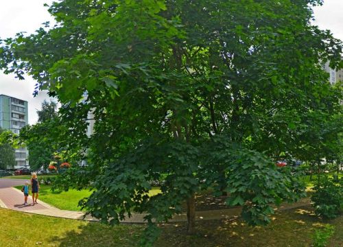 +79168471490 звонок из Арт Мотек
