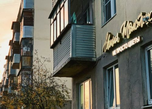 +79168550407 звонок из Цветы