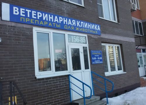 +79168610478 звонок из Питомец