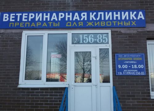 +79168610478 звонок из Питомец