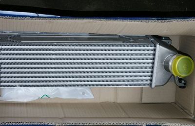 +79168711509 звонок из AllStarex