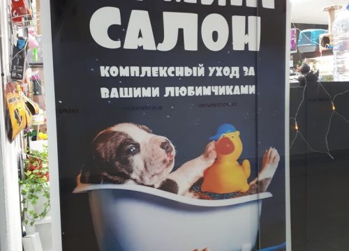 +79169390849 звонок из Zooprime
