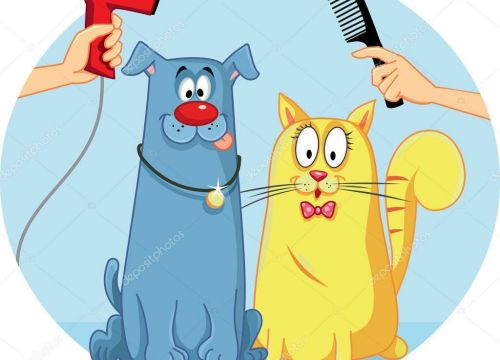 +79169441976 звонок из Стрижка животных. Ветклиника