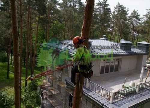 +79169627171 звонок из LiWood -обслуживание зеленых насаждений